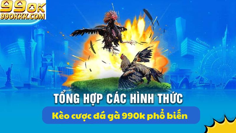 nhung-keo-cuoc-da-ga-99ok-pho-bien-nhat