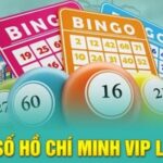 tim-hieu-ve-loai-hinh-ho-chi-minh-vip-99ok