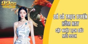 Đá gà trực tuyến hôm nay