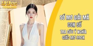 Sổ mơ giải mã con số
